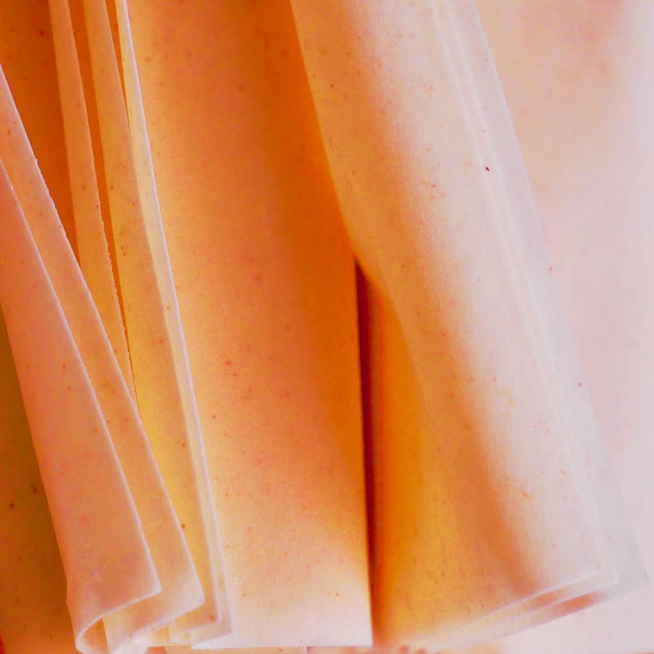 Filo1thumb